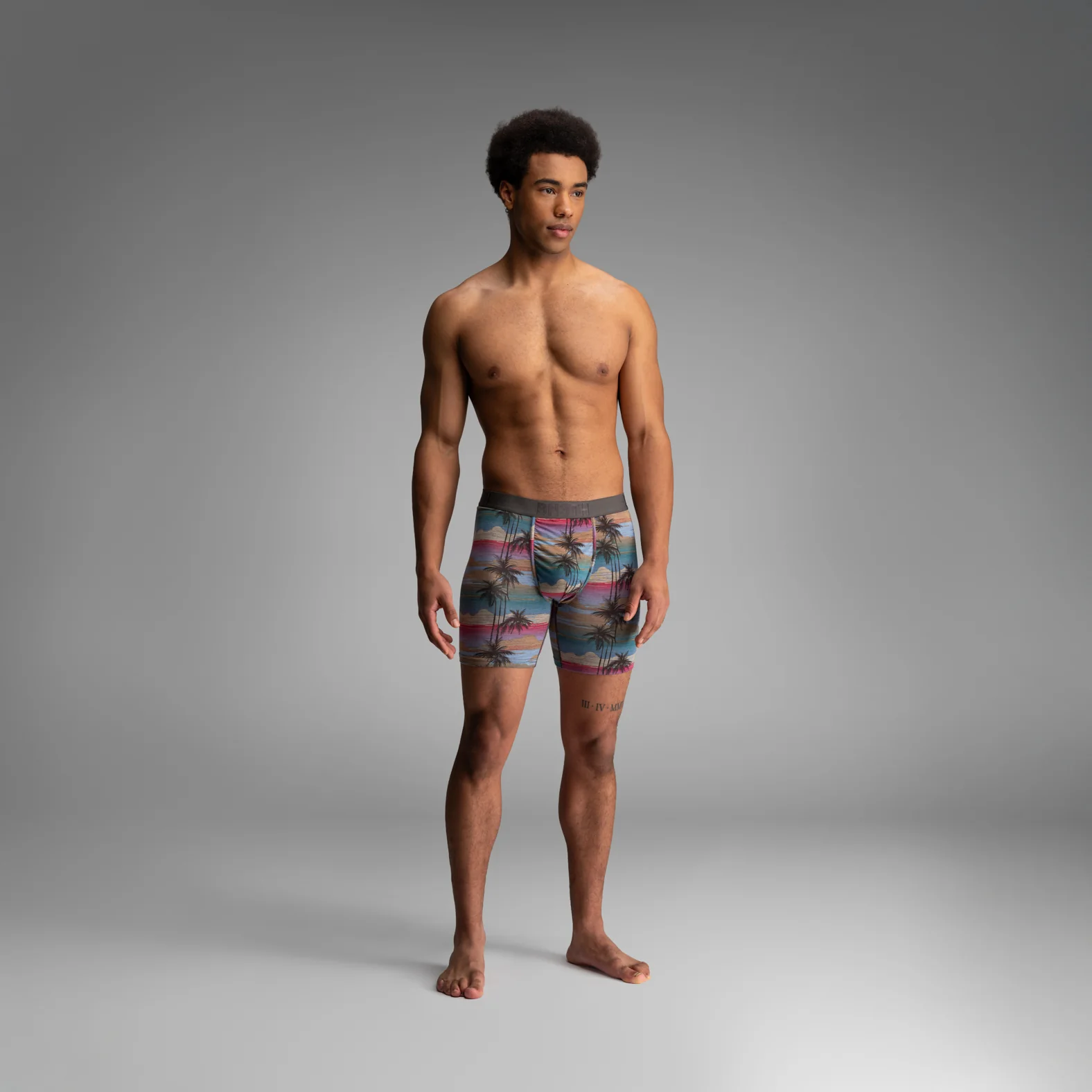 Classic Icon Boxer Brief: Palm Tree Horizon - Heather - Image 2