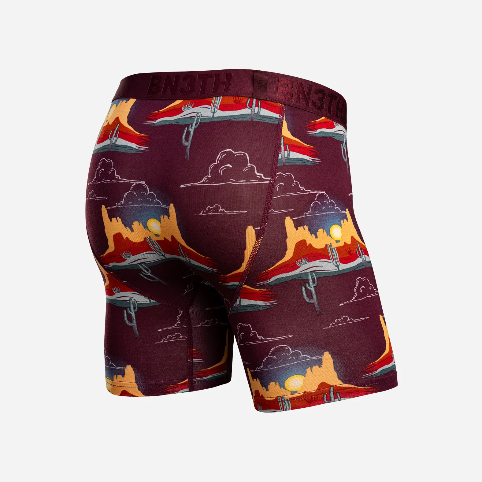 Classic Icon Boxer Brief: Western Range Fig - Image 3