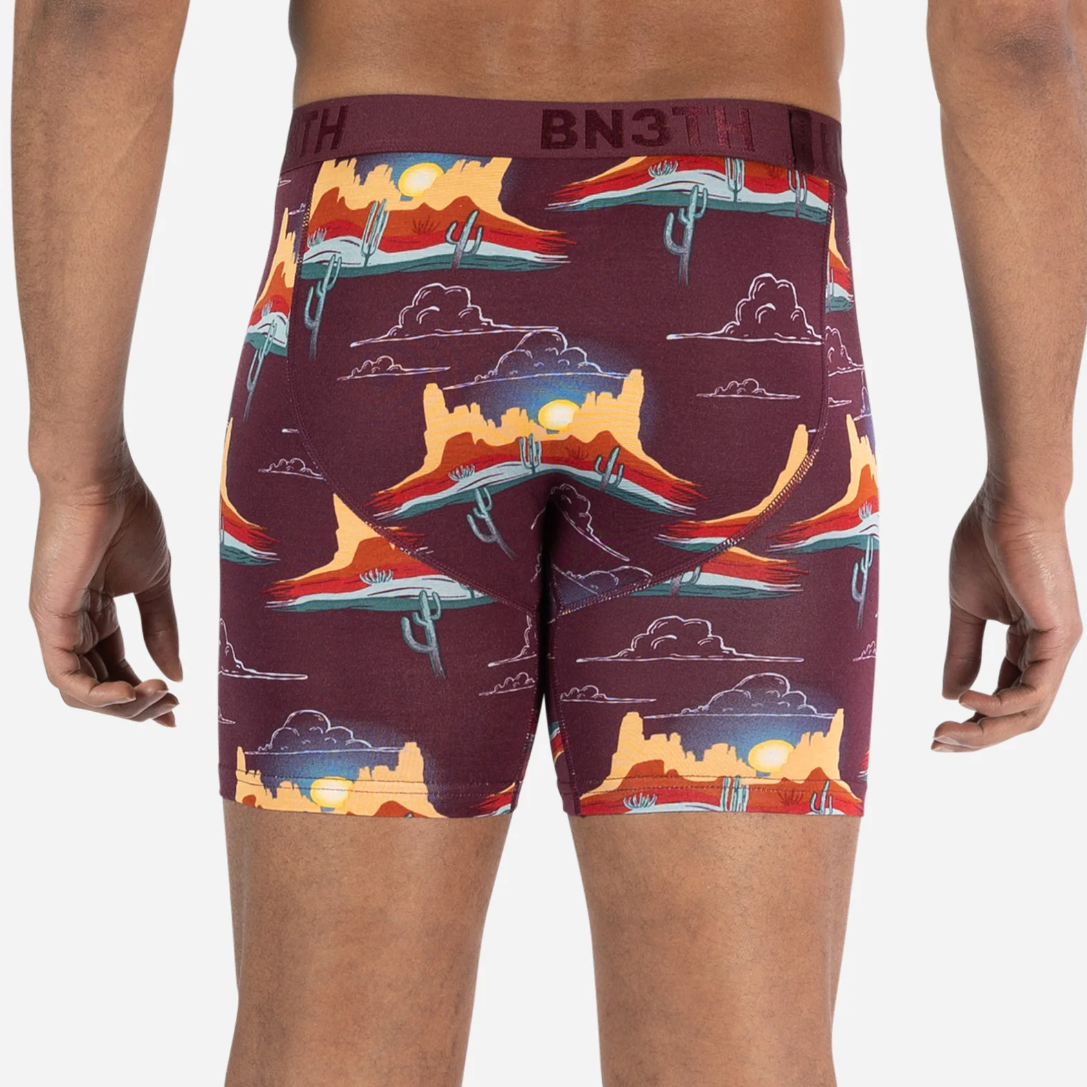 Classic Icon Boxer Brief: Western Range Fig - Image 4