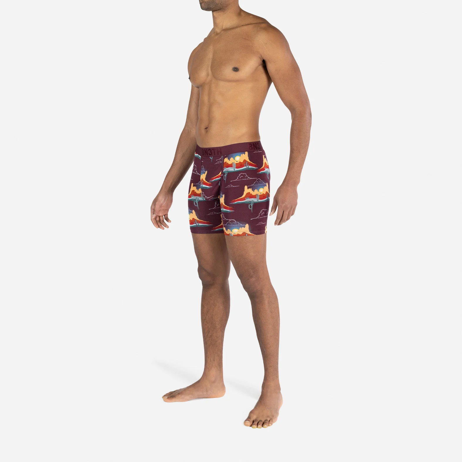 Classic Icon Boxer Brief: Western Range Fig - Image 5