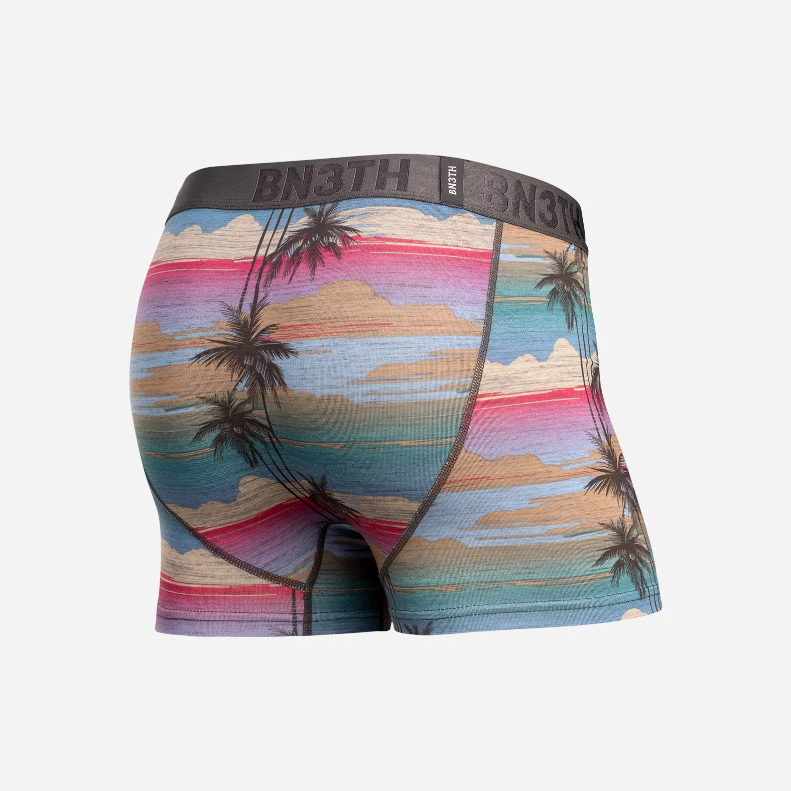 Classic Icon Trunk : Palm Tree Horizon-Heather - Image 3