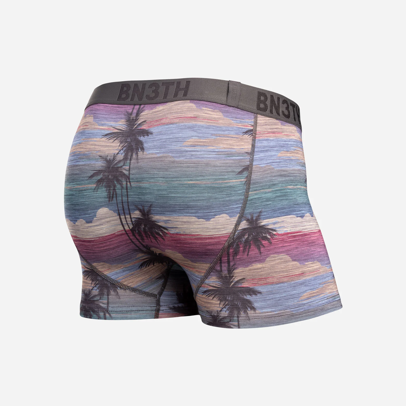 Classic Icon Trunk With Fly : Palm Tree Horizon - Heather - Image 3